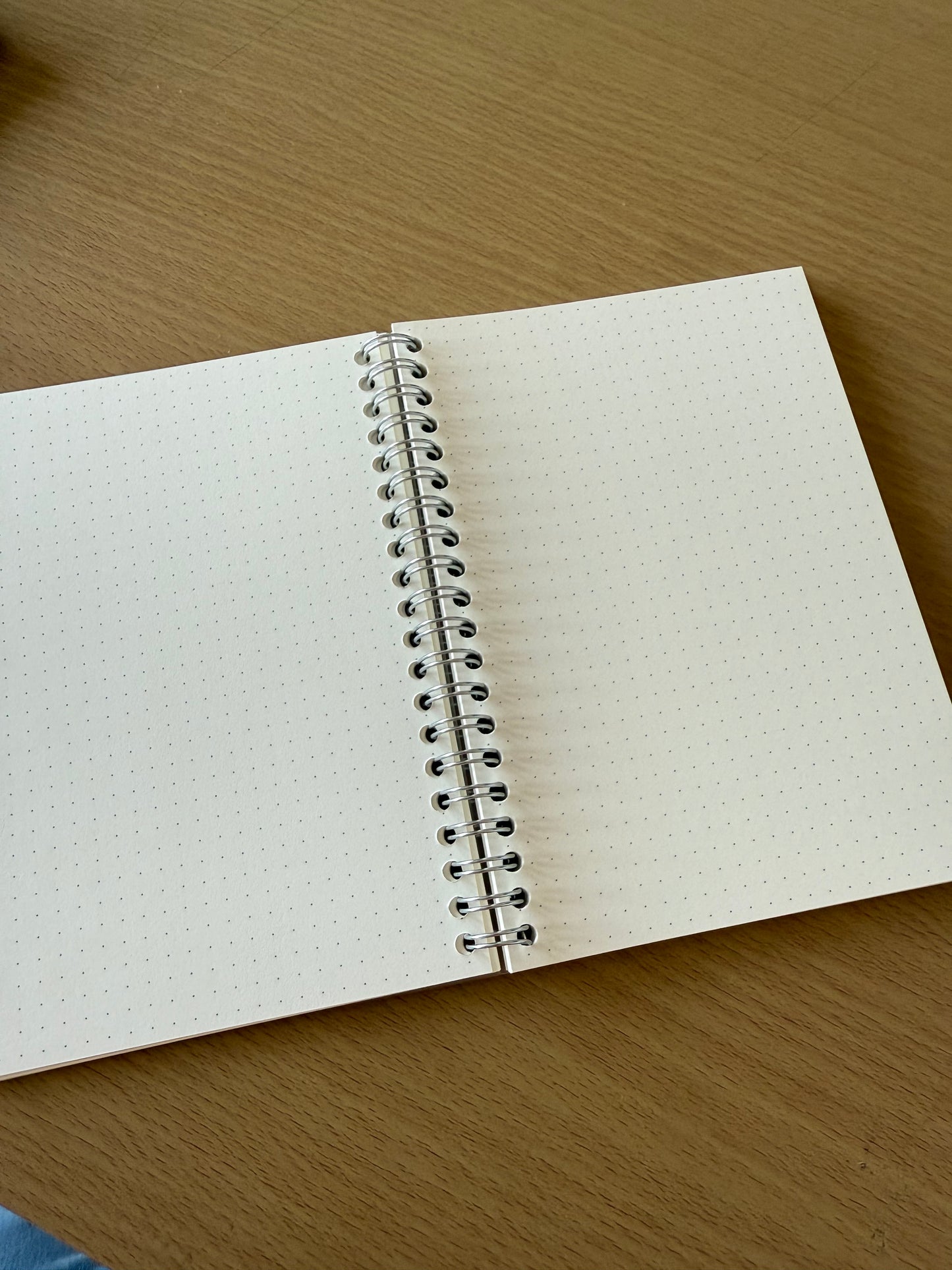 MUJI A5 Dotted PP Notebook