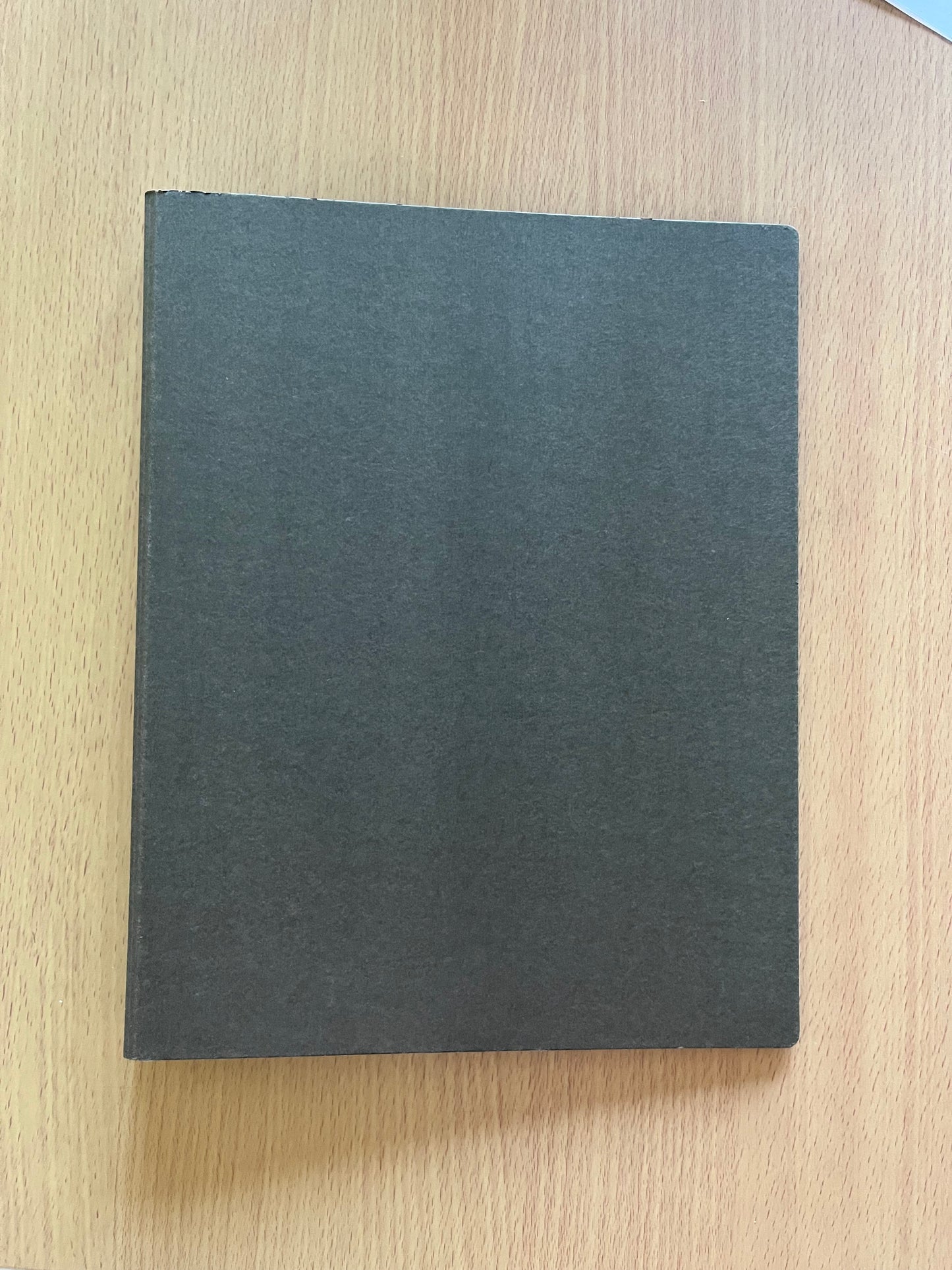 MUJI A4 Binder