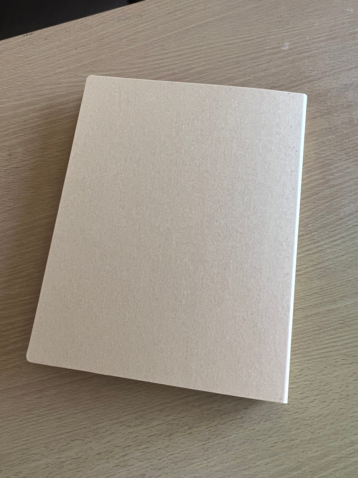 MUJI A4 Binder