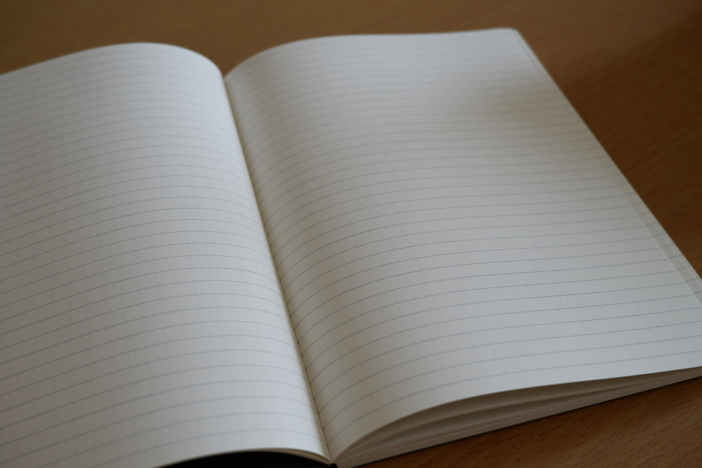 MUJI A5 Ring Ruled Notebook 48 Sheets